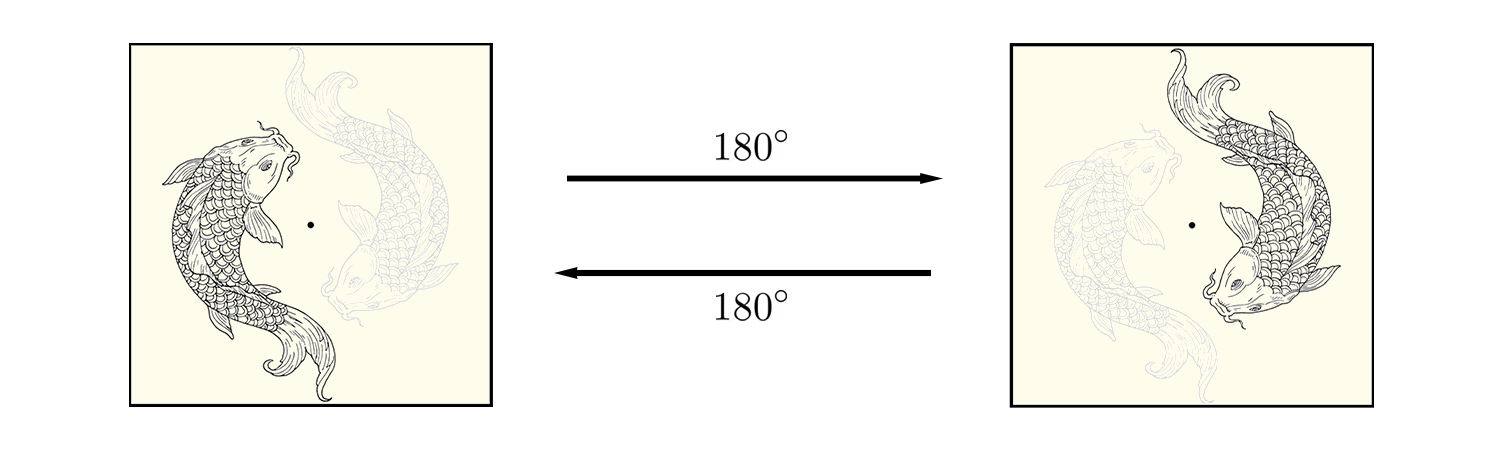 180° rotation of the plane
